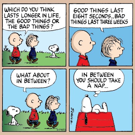 great advice, Snoopy! | roccosphere